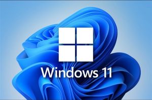 病毒程序仿造成Windows11系统安装包